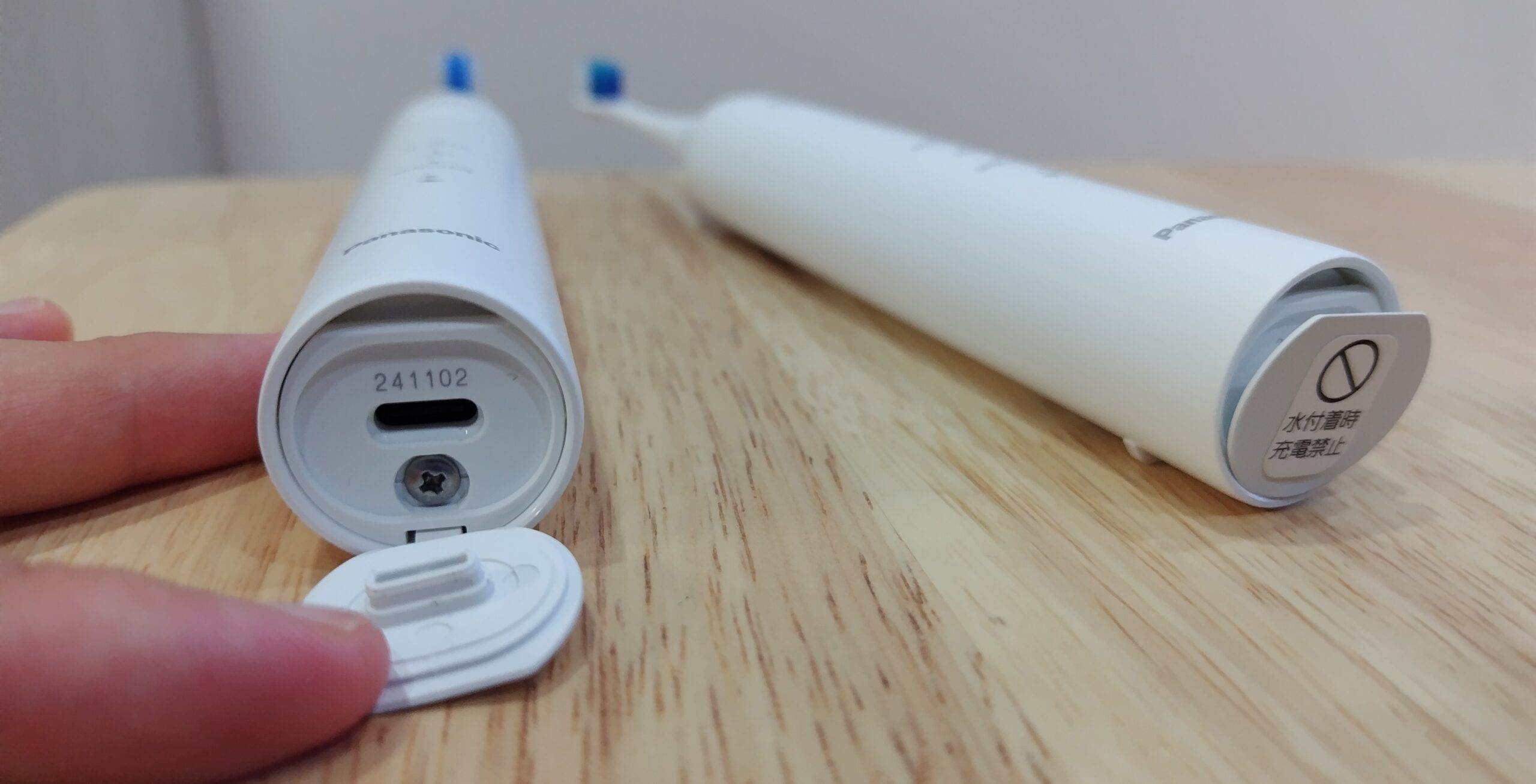 ドルツの充電部