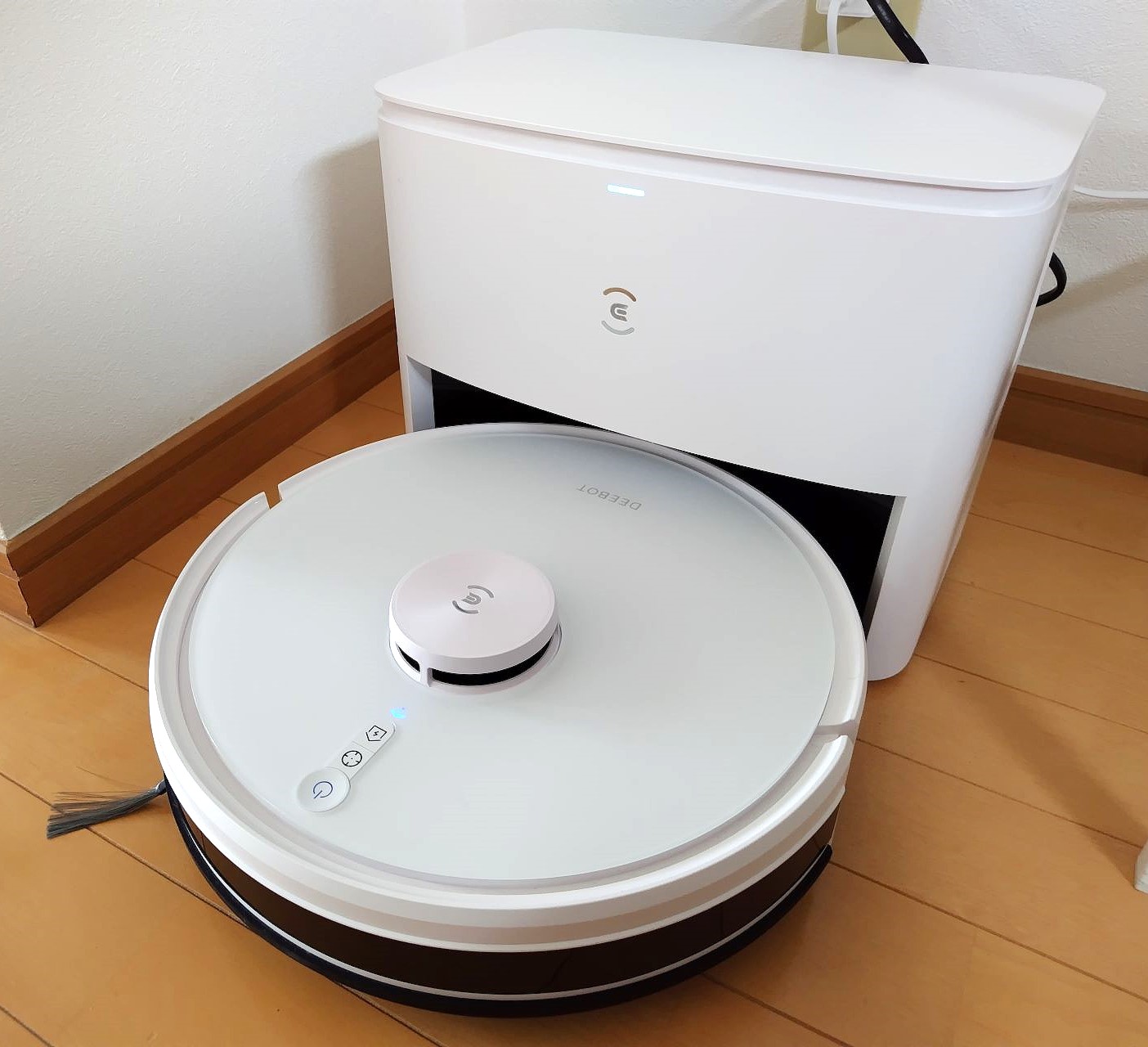 エコバックスの全体
