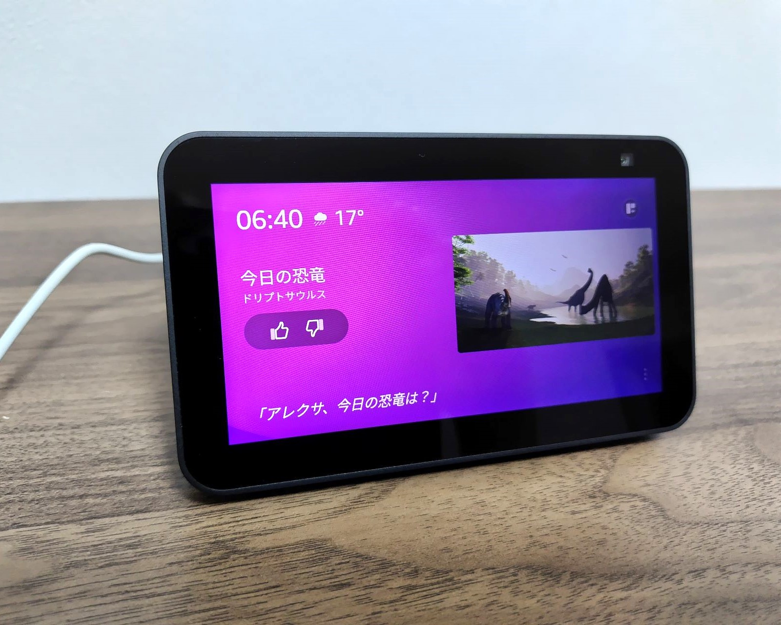 エコーショー5の正面少し斜め